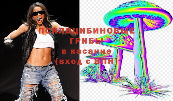 молекула духа Армянск