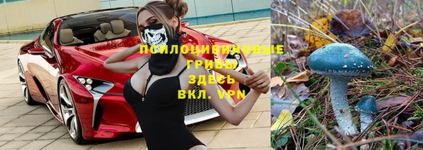 соль курить ск Арсеньев