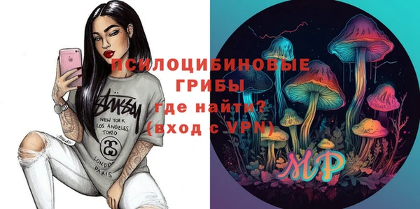 амф Аркадак