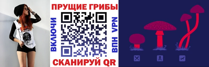Псилоцибиновые грибы Psilocybe  Котельниково 